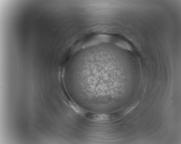 X0000068850288200605121417