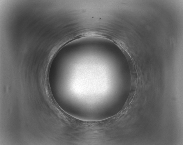 X0000068850289200605121416