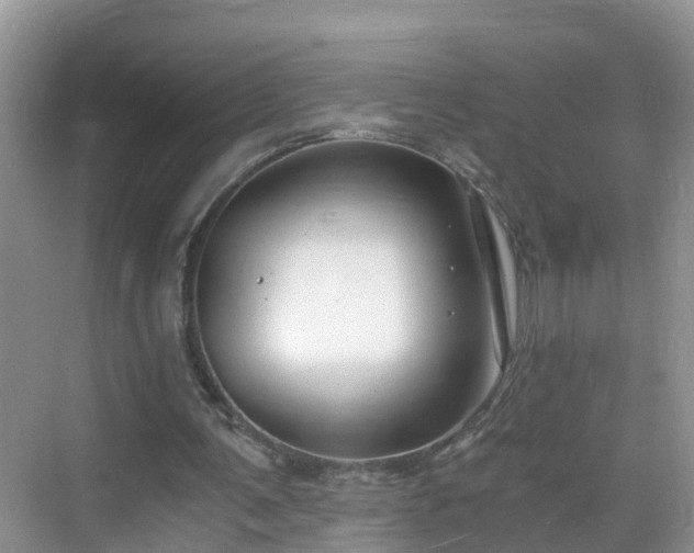 X0000068850291200605121416