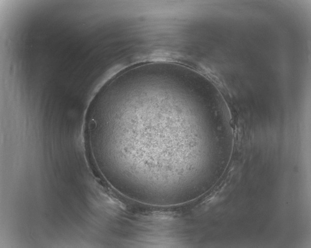 X0000068850292200605121416