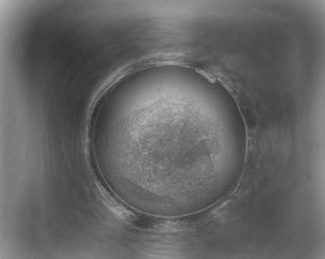 X0000068850293200605121416