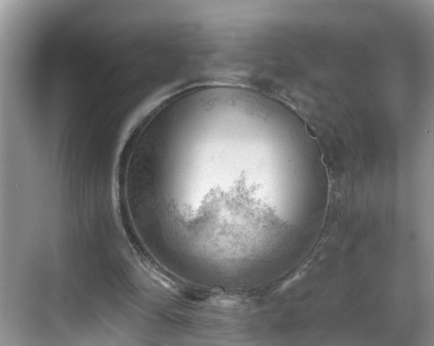 X0000068850294200605121416