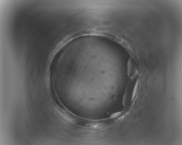 X0000068850295200605121416