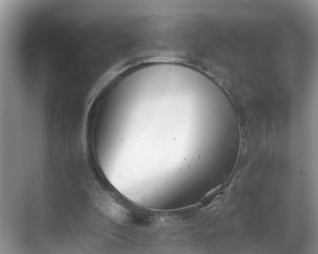 X0000068850296200605121416