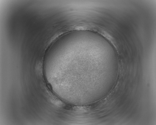 X0000068850297200605121416