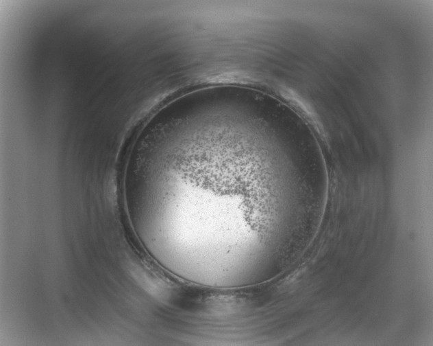 X0000068850298200605121416