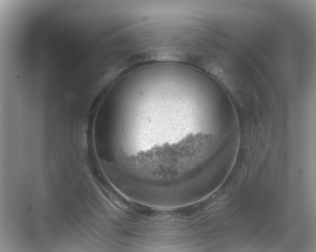 X0000068850299200605121416