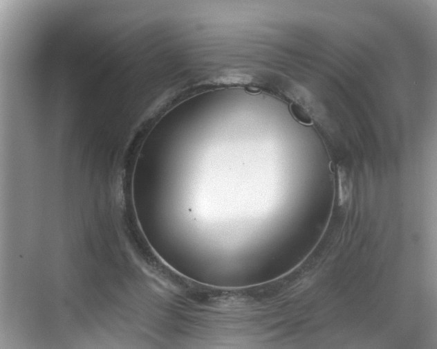 X0000068850300200605121416