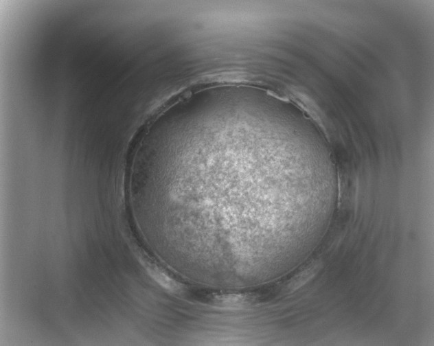 X0000068850301200605121416