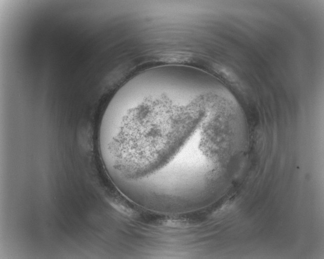 X0000068850303200605121416