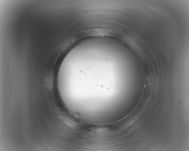 X0000068850304200605121416