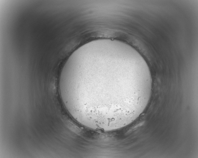 X0000068850305200605121416