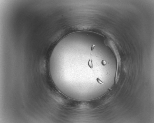 X0000068850308200605121416