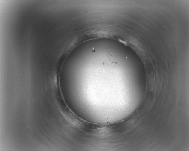 X0000068850310200605121416