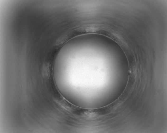 X0000068850311200605121416