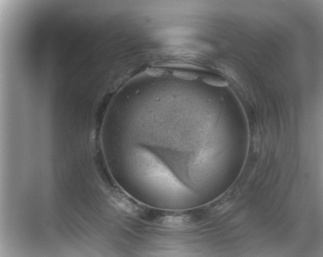 X0000068850314200605121416