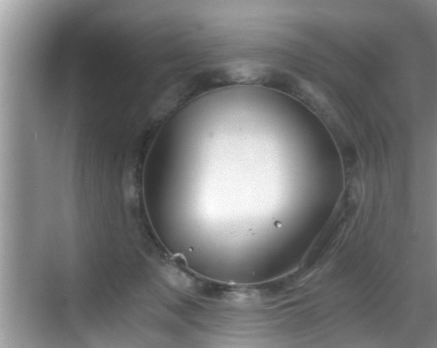 X0000068850317200605121416