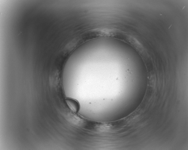 X0000068850318200605121416