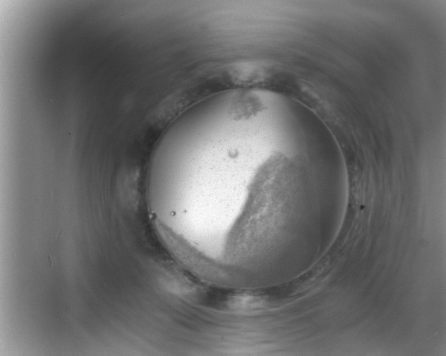 X0000068850319200605121416