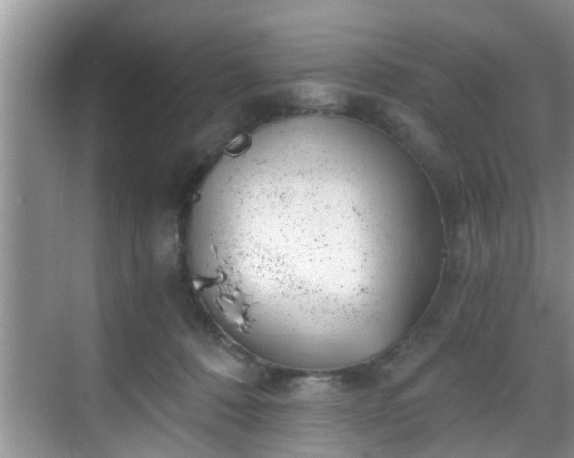 X0000068850320200605121416