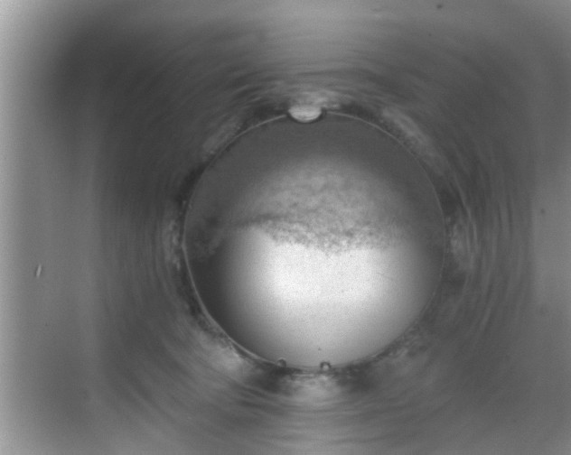 X0000068850322200605121416