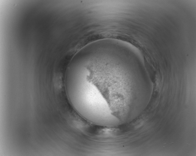 X0000068850323200605121416