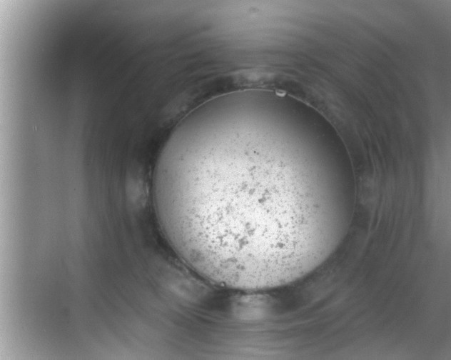 X0000068850324200605121416