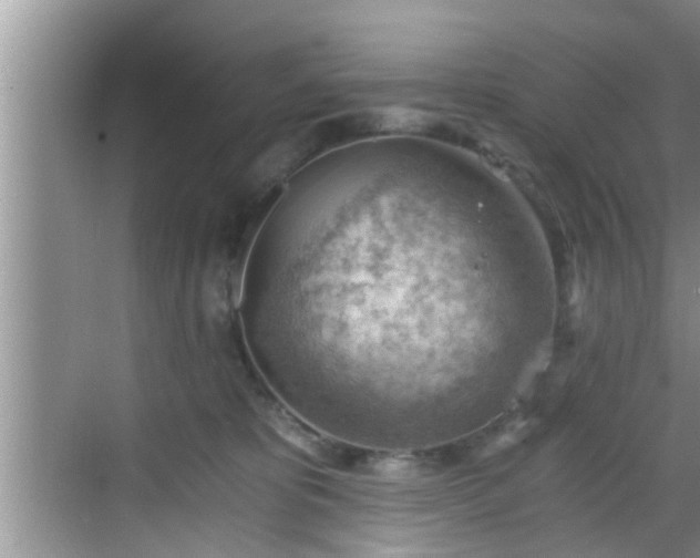 X0000068850325200605121416