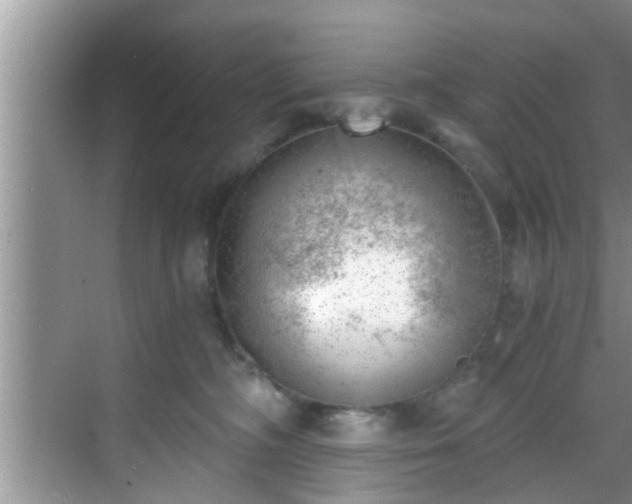 X0000068850326200605121416