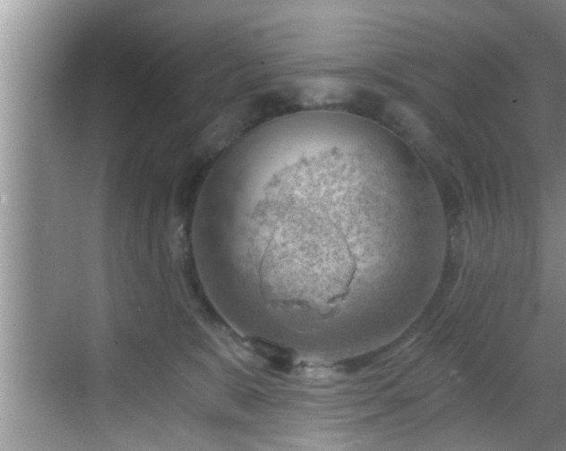 X0000068850327200605121416