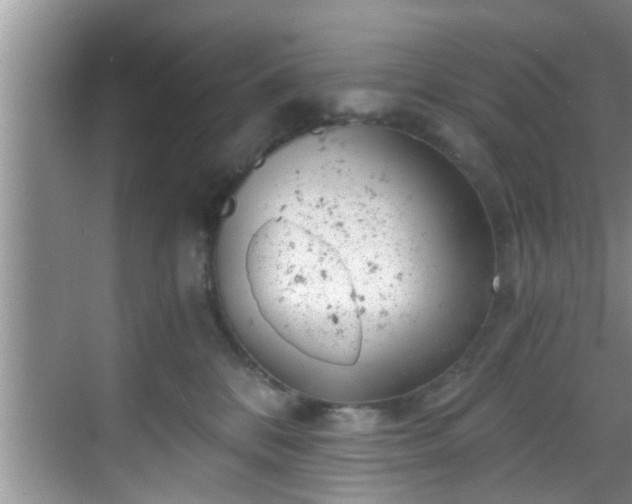 X0000068850328200605121416