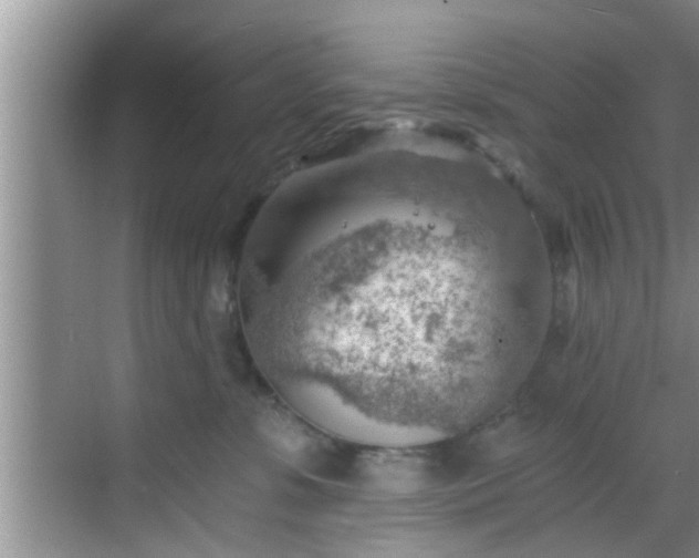 X0000068850331200605121416