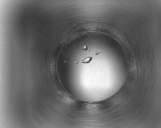 X0000068850332200605121416