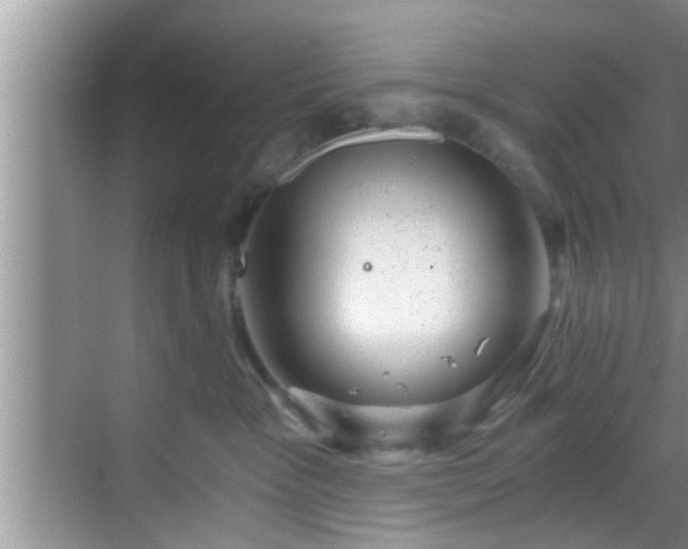 X0000068850333200605121416