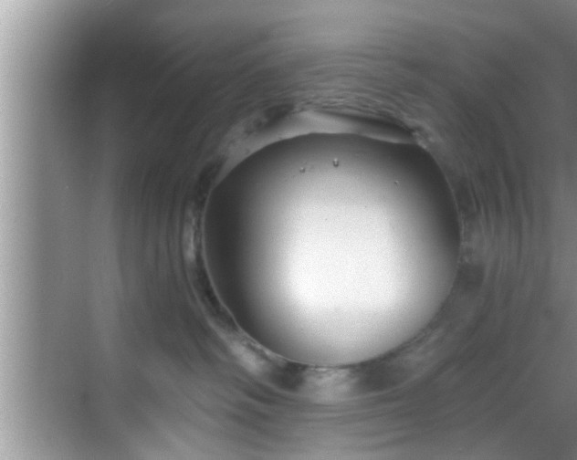 X0000068850334200605121416