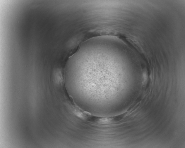 X0000068850335200605121416