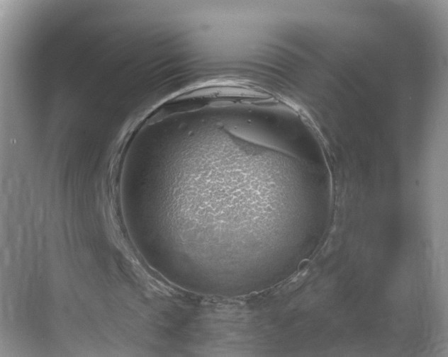 X0000068850337200605121415