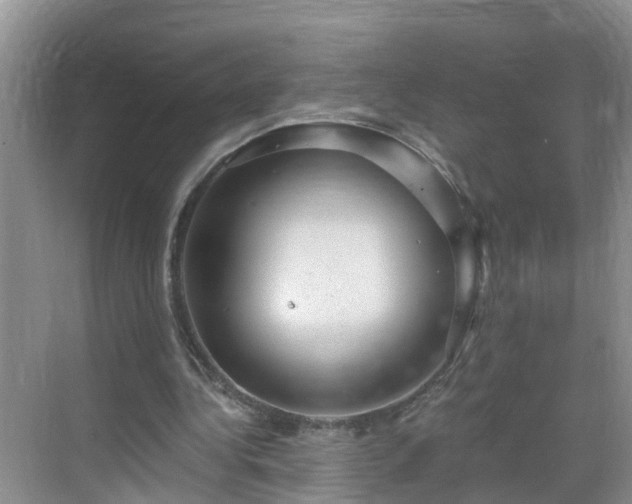 X0000068850340200605121415