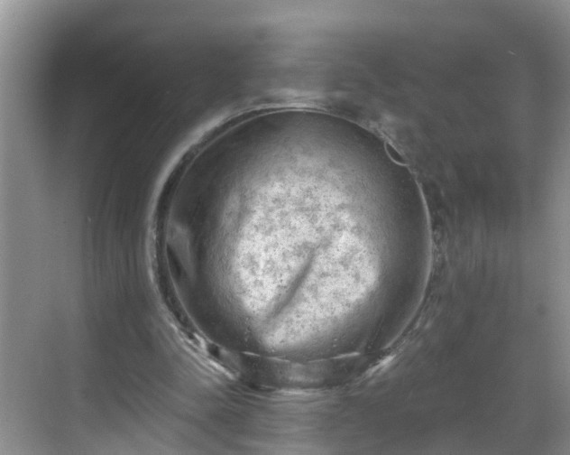 X0000068850342200605121415