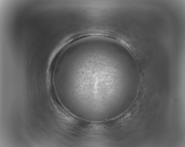 X0000068850343200605121415