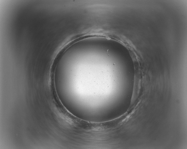 X0000068850344200605121415