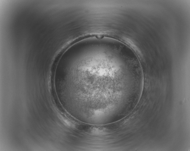 X0000068850346200605121415