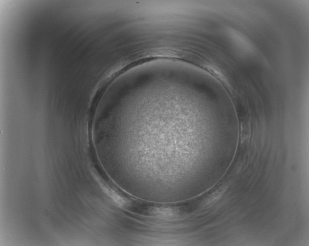 X0000068850349200605121415