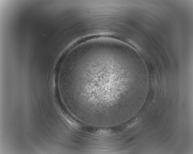 X0000068850350200605121415