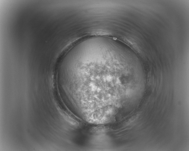 X0000068850351200605121415