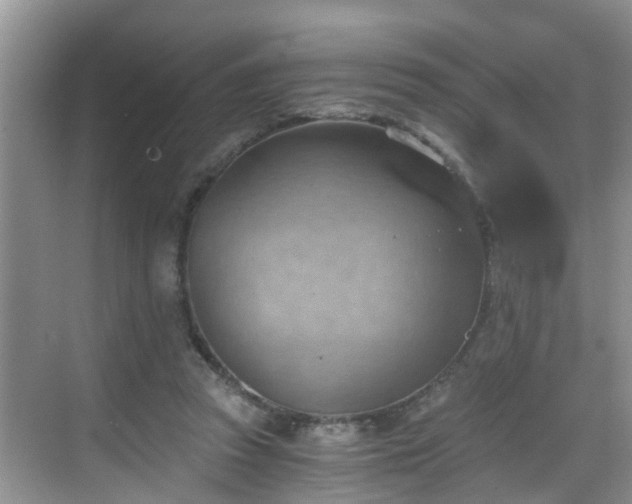 X0000068850353200605121415