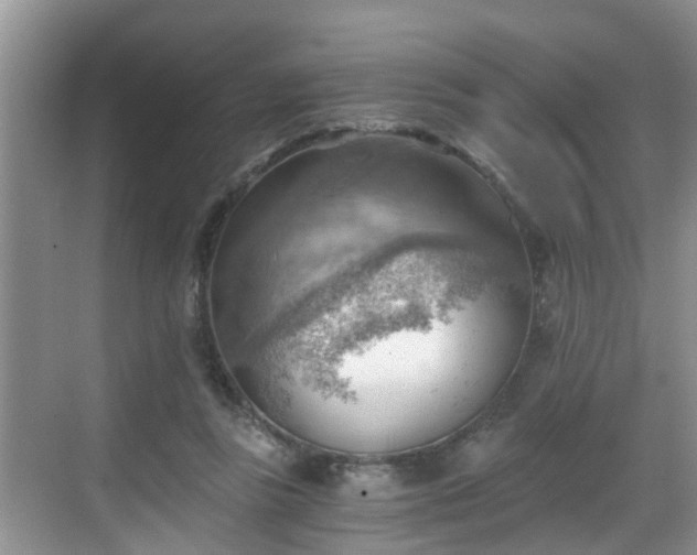 X0000068850355200605121415