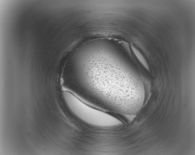 X0000068850356200605121415