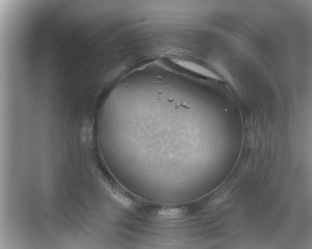 X0000068850357200605121415