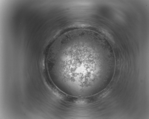 X0000068850358200605121415